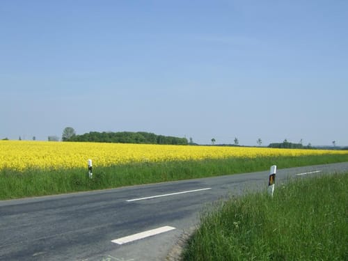 Billerbeck nach Coesfeld