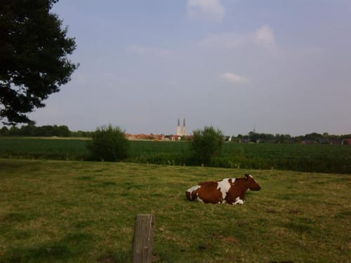 Billerbeck - Lette - Coesfeld