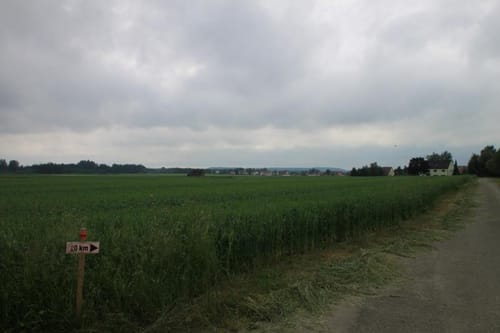 Durch den Tannwald ab Aulendorf