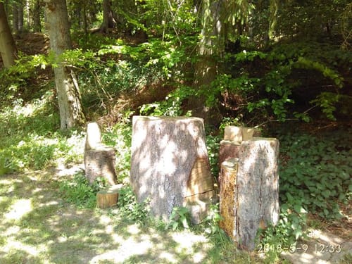 Niedenstein N4 - Rundweg zur Weißenthalsmühle