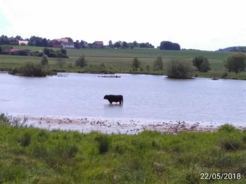 Rundwanderweg Wolfhagen Granerbergweg W3