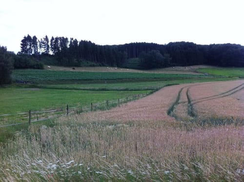 R10 - Alte Radwege neu entdeckt
