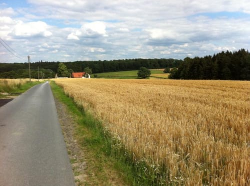 R10 - Alte Radwege neu entdeckt