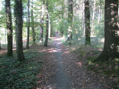 Rüben Route