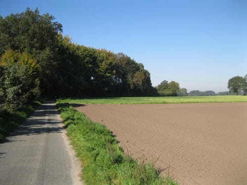 Rüben Route