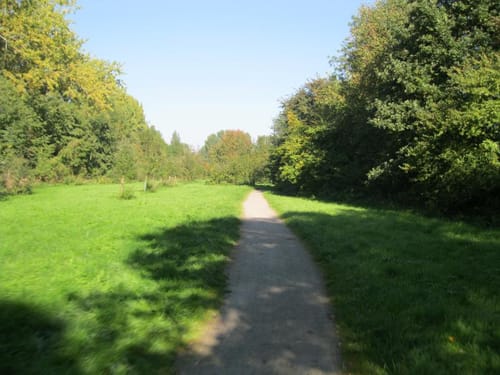 Rüben Route