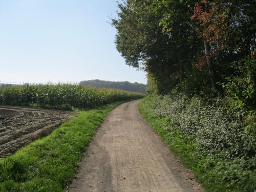 Rüben Route