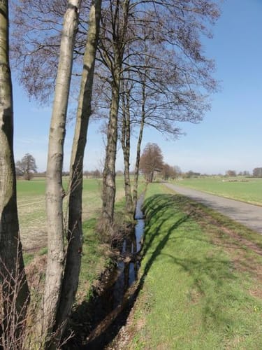Farster Bauernschaft ab Tonkuhle Altwarmbüchen