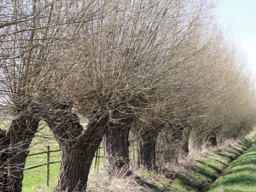 Farster Bauernschaft ab Tonkuhle Altwarmbüchen