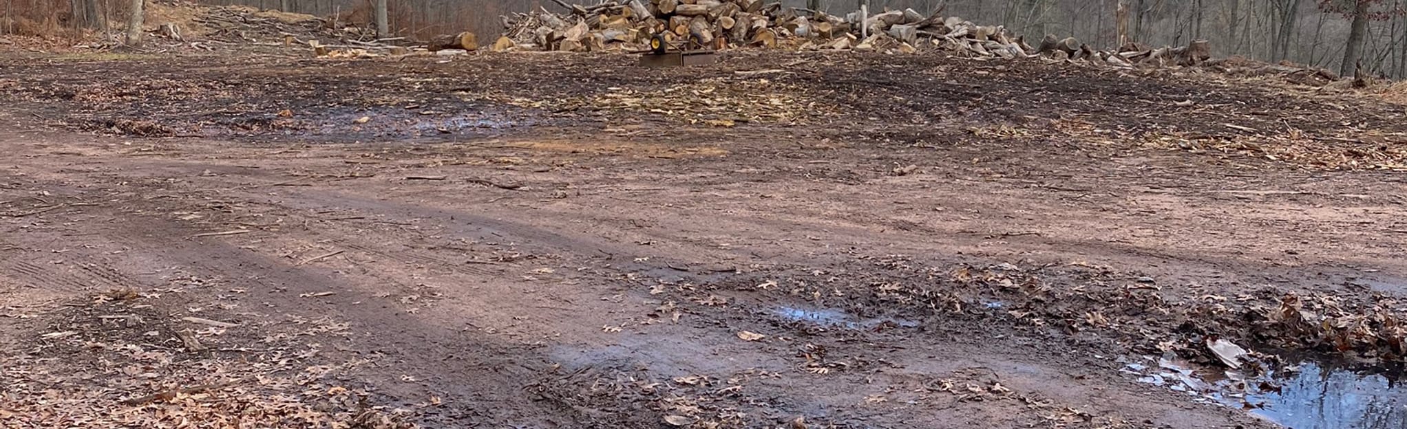 Walnut Run Trail 188 Reviews, Map Pennsylvania AllTrails