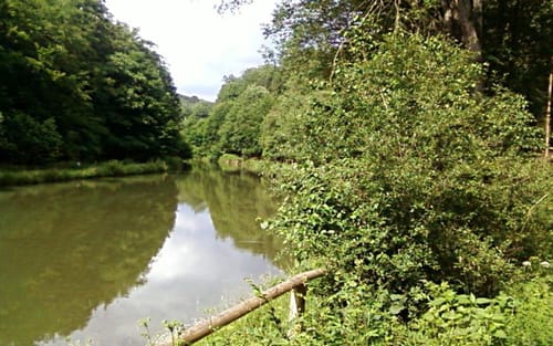 Oberrod-Steinfischbach-Tenne-Oberrod