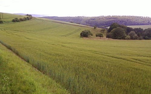 Oberrod-Steinfischbach-Tenne-Oberrod