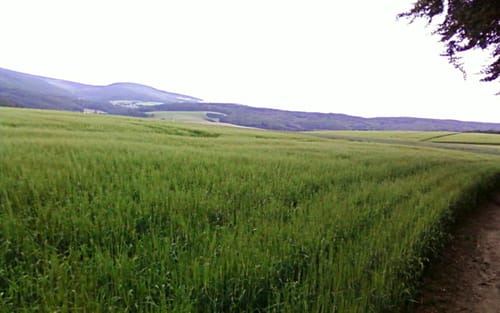 Oberrod-Steinfischbach-Tenne-Oberrod