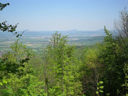 Kornberg - Auendorf