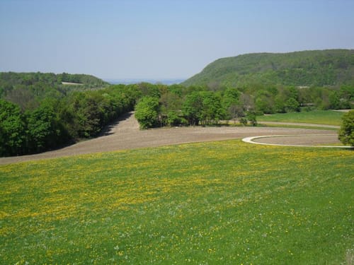 Kornberg - Auendorf