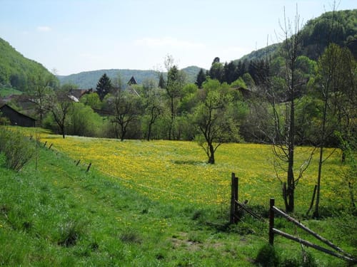 Kornberg - Auendorf