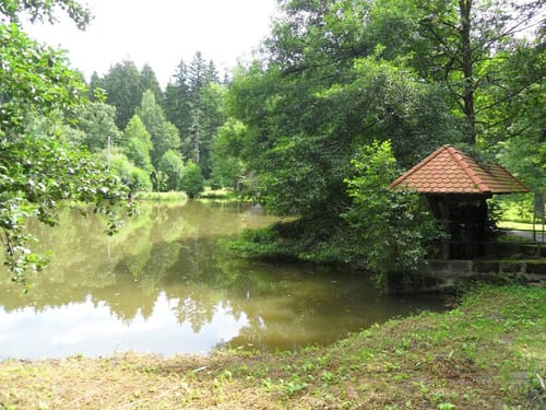 Gebenweiler-Waldsee