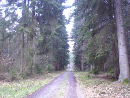 Dedenbach - Schauinsland