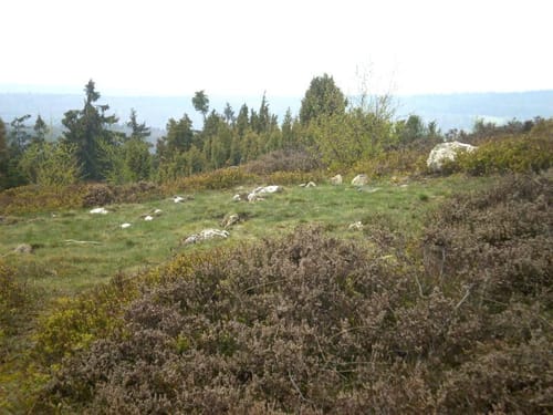 Dedenbach - Schauinsland