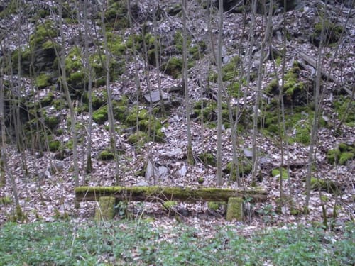 Dedenbach - Schauinsland