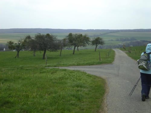 Dedenbach - Schauinsland