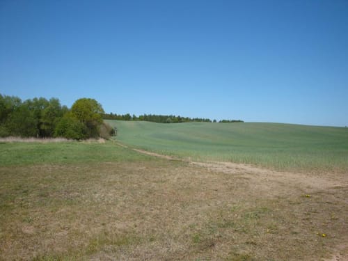 Selmsdorf - Forst Hohe Melle - Teschow