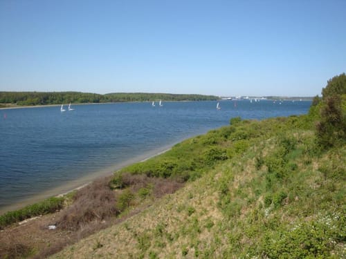 Selmsdorf - Forst Hohe Melle - Teschow