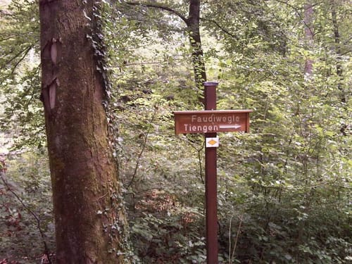 Rund um Tiengen