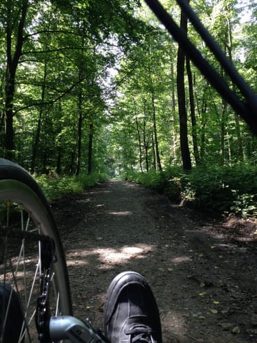 Netteberge Rundweg A2