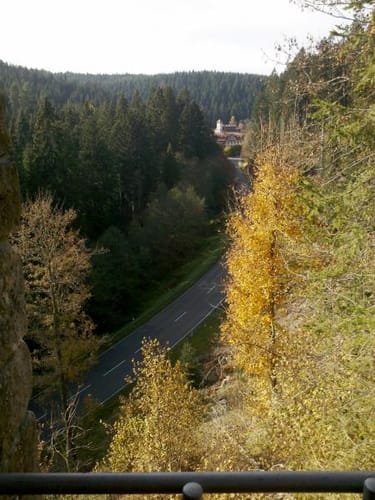 Salvestweg am Wildgehege