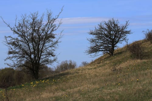 Kleine Runde bei Mallnow