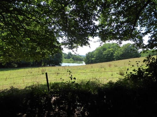 Von Groß Vollstedt rund um den Westensee