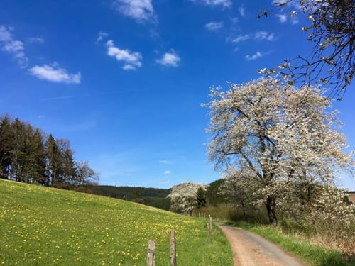 Von Plettenberg nach Lennestadt Meggen