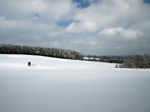 Piener Kopf (A3)
