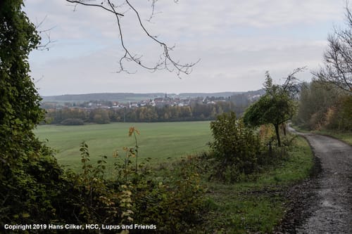 Eggeweg und Hardehausen Rundweg
