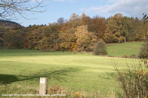 Eggeweg und Hardehausen Rundweg