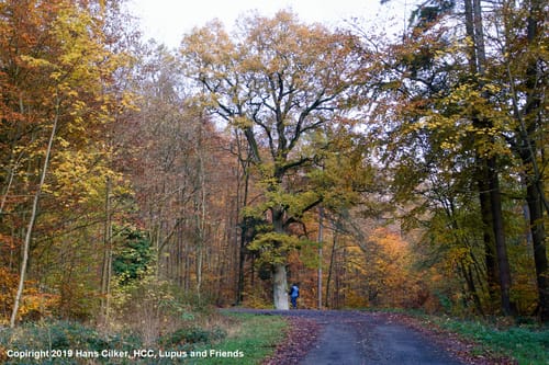 Eggeweg und Hardehausen Rundweg