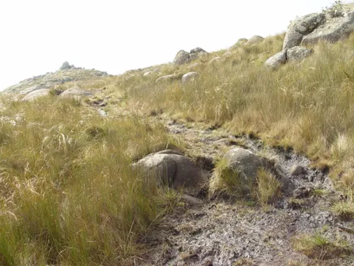 As melhores trilhas de Off Road em Guaratuba, Paraná (Brasil)