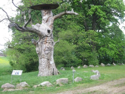 MTB-Tour zum Katzenstuhl ab Dottingen