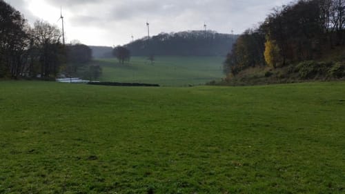 Paderborner Stadtwald ab Altenbeken