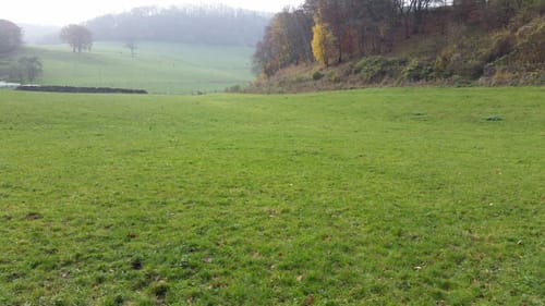 Paderborner Stadtwald ab Altenbeken