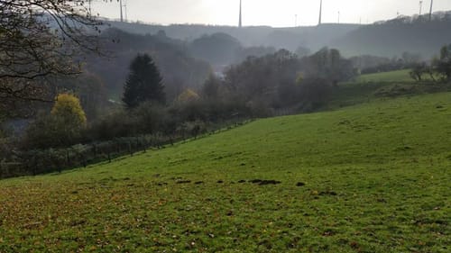 Paderborner Stadtwald ab Altenbeken