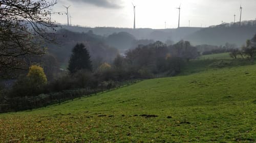 Paderborner Stadtwald ab Altenbeken