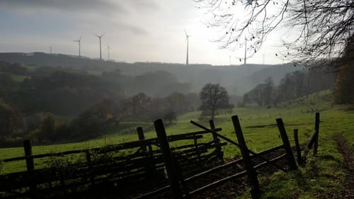 Paderborner Stadtwald ab Altenbeken