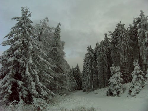 Langenbergrundweg
