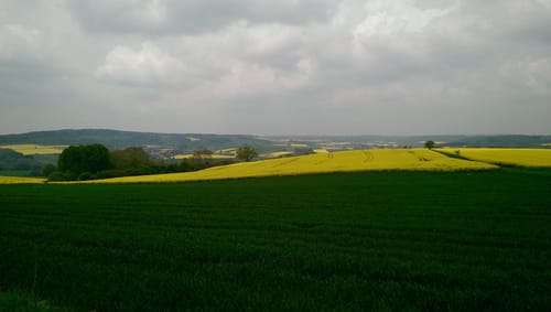 Rundwanderweg Scheden 1