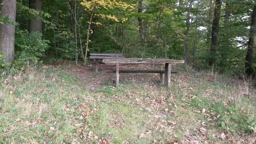 Mönchswald -Steinerner Tisch -Salzweg