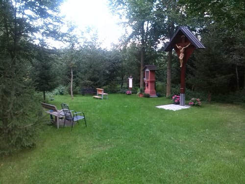 Durch den Wald bei Eichen