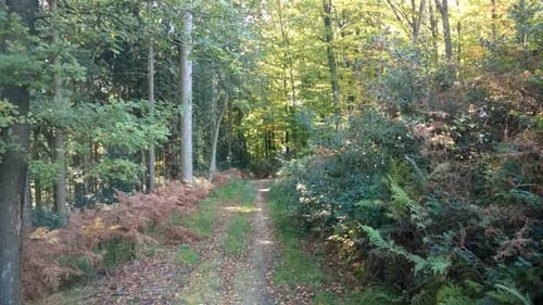 Am Arenberg