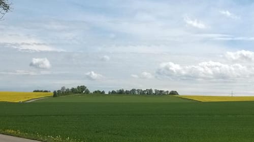 Jettingen Rundwanderweg 2: Spitalwald